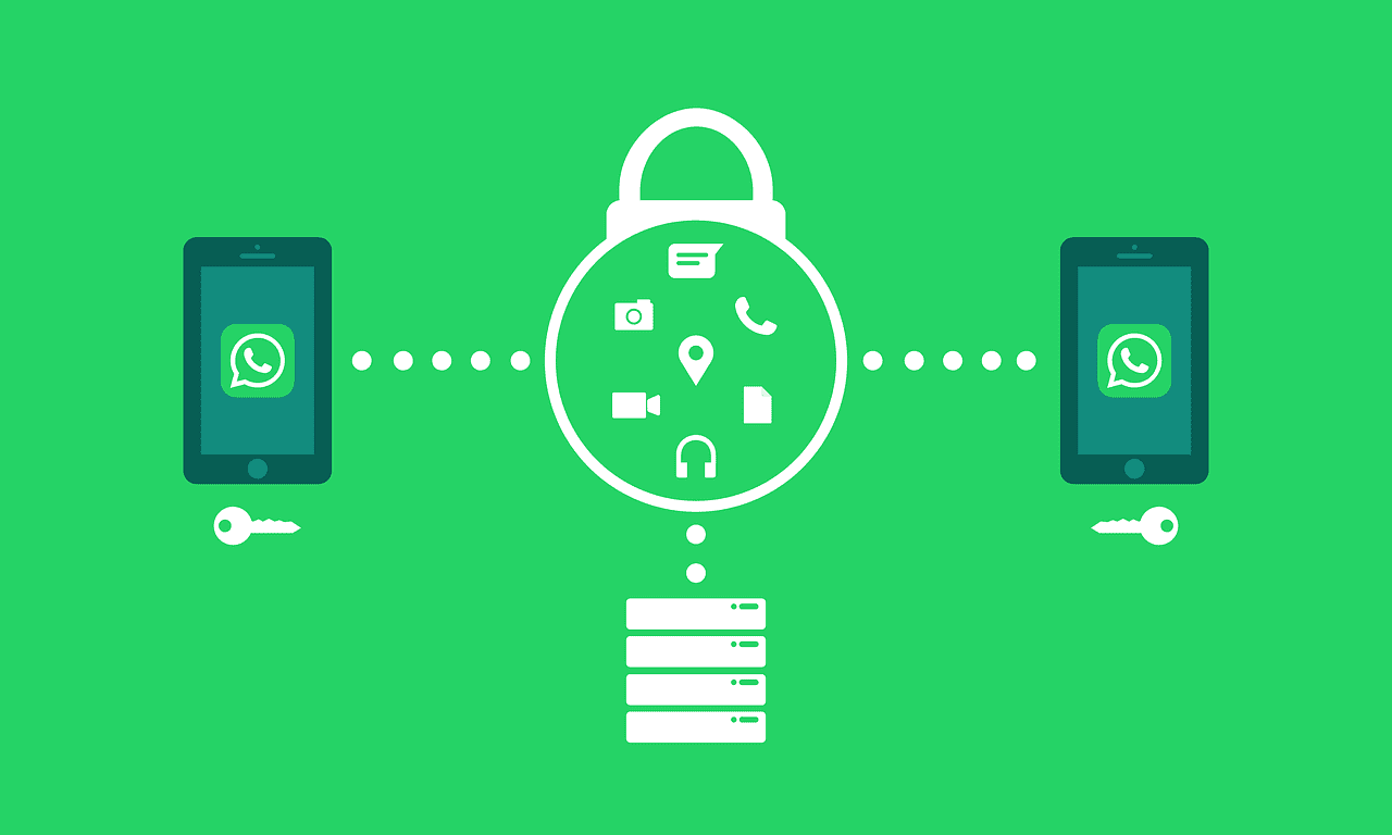 whatsapp, messages, phone, cellular, company, encryption, sure, mechanism, save, security, smartphone, computer security, cell phones, whatsapp, whatsapp, whatsapp, whatsapp, whatsapp, encryption